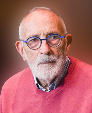 Hermans Johan